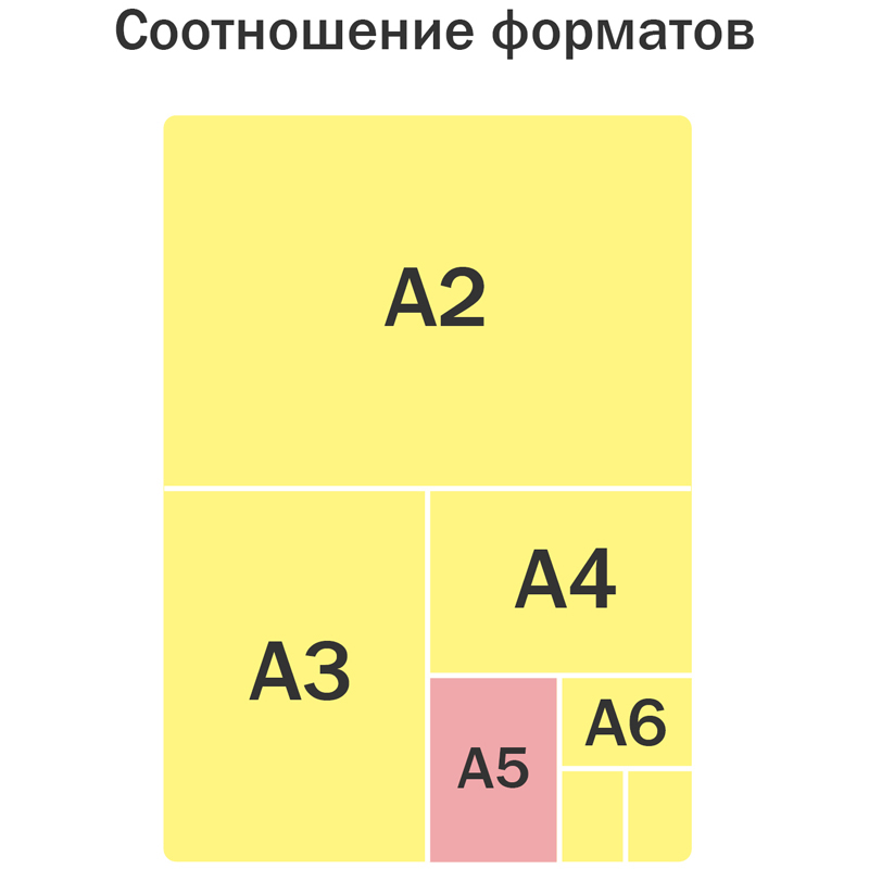 Папка для тетрадей 2 отделения А5 ArtSpace «Girls Power», пластик, на липучке