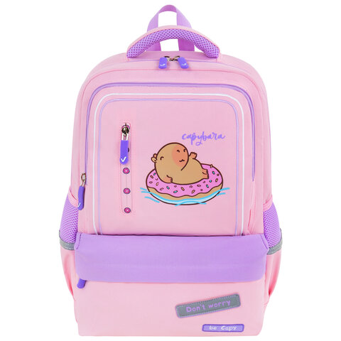 Рюкзак BRAUBERG STAR, 1 отделение, 5 карманов, «Capybara», розовый, 40×29x13 см