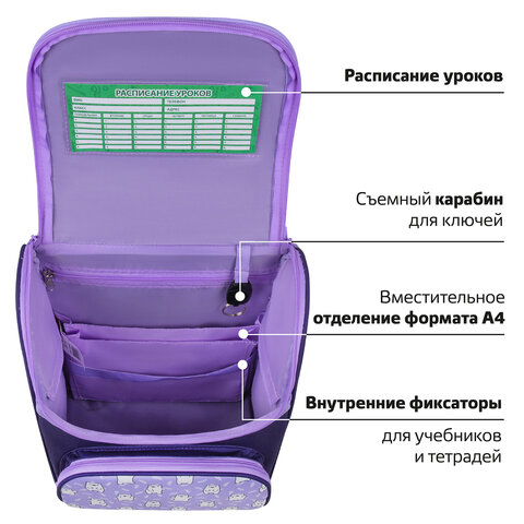 Ранец ПИФАГОР BASIC, 1 отделение, 3 кармана, эргономичная спинка, «Happy bear», 35×28х18 см