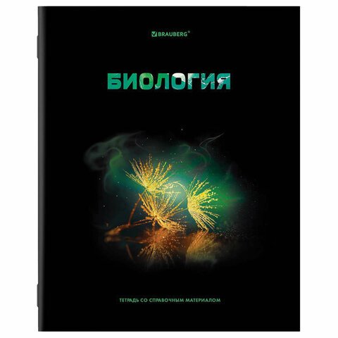 Тетради предметные, КОМПЛЕКТ 12 ПРЕДМЕТОВ, «SHADE», 48 л., глянцевый УФ-лак, BRAUBERG
