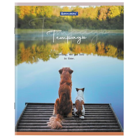 Тетрадь А5 48 л. BRAUBERG скоба, клетка, обложка картон, «Best Friends»