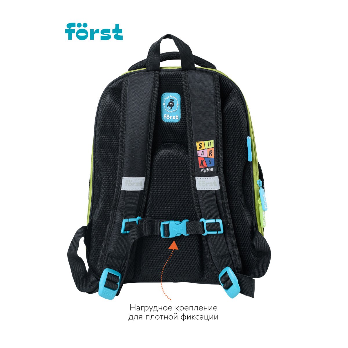 Ранец Först F-BASE «Shark party» 36×29×17 см, 3 отделения, 2 кармана, анатомическая спинка