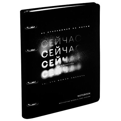 Тетрадь на кольцах А5, 175×215 мм, 120 л., под кожу, BRAUBERG VISTA, «Сейчас»