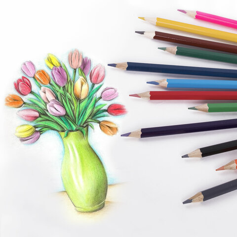 Карандаши цветные стираемые с ластиком BRAUBERG ERASABLE12 цветовмягкий грифель 3 мм181932