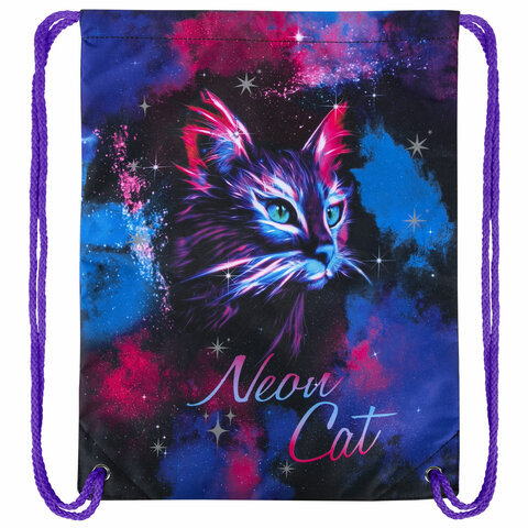 Мешок для обуви BRAUBERG PREMIUM, карман, подкладка, светоотражайка, 43×33 см, «Neon cat»
