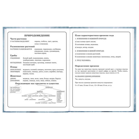 Дневник 1-4 класс 48 л., твердый, BRAUBERG, глянцевая ламинация, с подсказом, «Волк»
