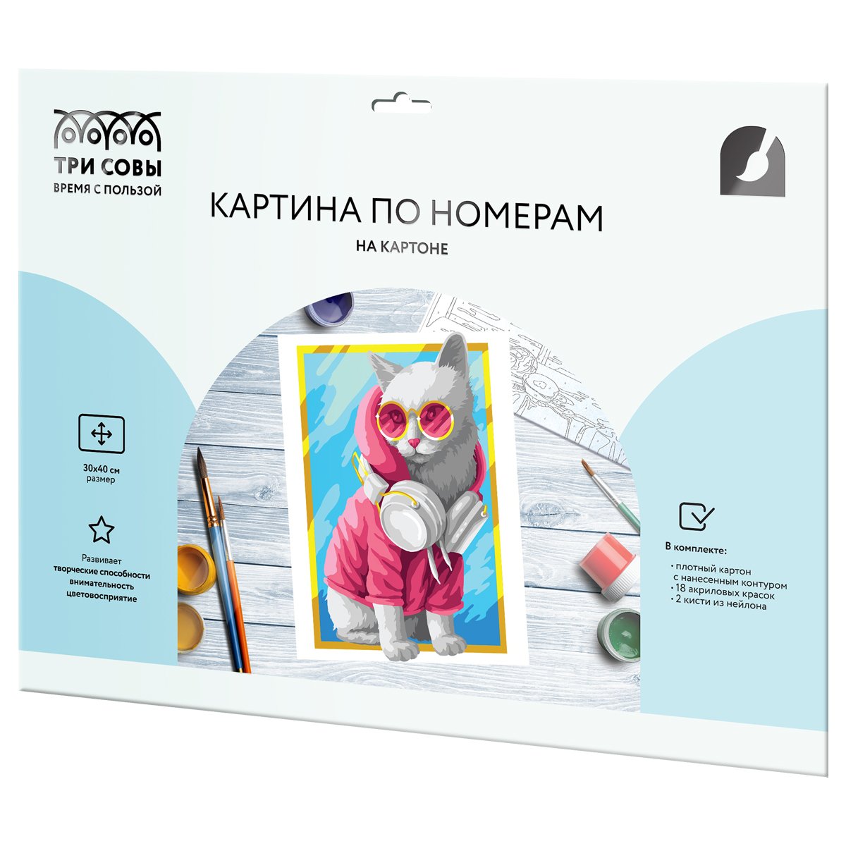 Картина по номерам на картоне ТРИ СОВЫ «Стильная кошка», 30×40, с акриловыми красками и кистями
