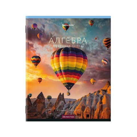 Тетради предметные, КОМПЛЕКТ 12 ПРЕДМЕТОВ, КЛАССИКА NEW, 48 л., обложка картон, BRAUBERG