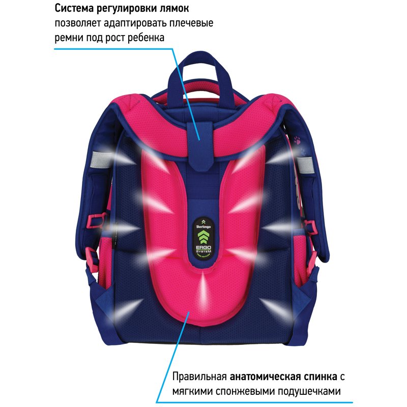 Ранец Berlingo Expert «Scary cat» 37×28×16см, 2 отделения, 2 кармана, анатомическая спинка