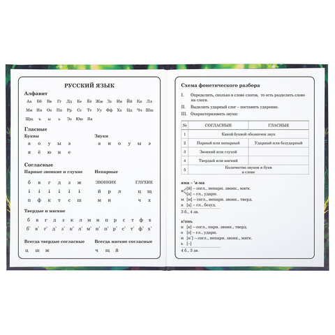 Дневник 1-4 класс 48 л., твердый, BRAUBERG, блестки, с подсказом, «Фея»