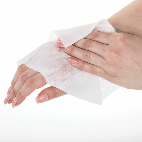 Салфетка влажная антибактериальная в индивидуальной упаковке сашеLAIMA WET WIPE13×17 см114493