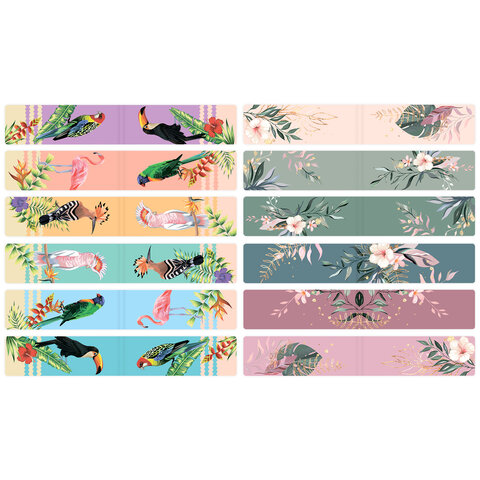 Закладки для книг МАГНИТНЫЕ, «TROPICS», набор 12 шт., 60×20 мм, BRAUBERG