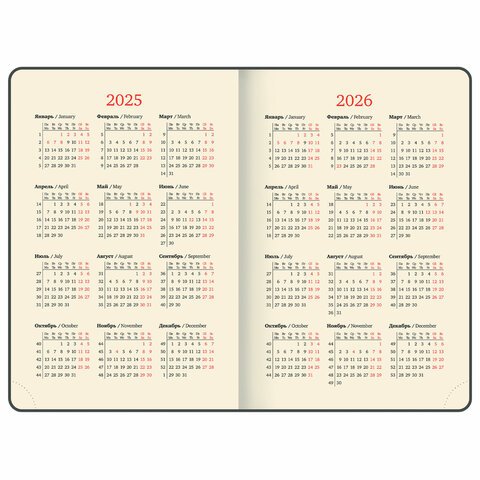 Ежедневник датированный 2025, А5, 143×218 мм, BRAUBERG «Journal», под кожу, застежка, органайзер, синий