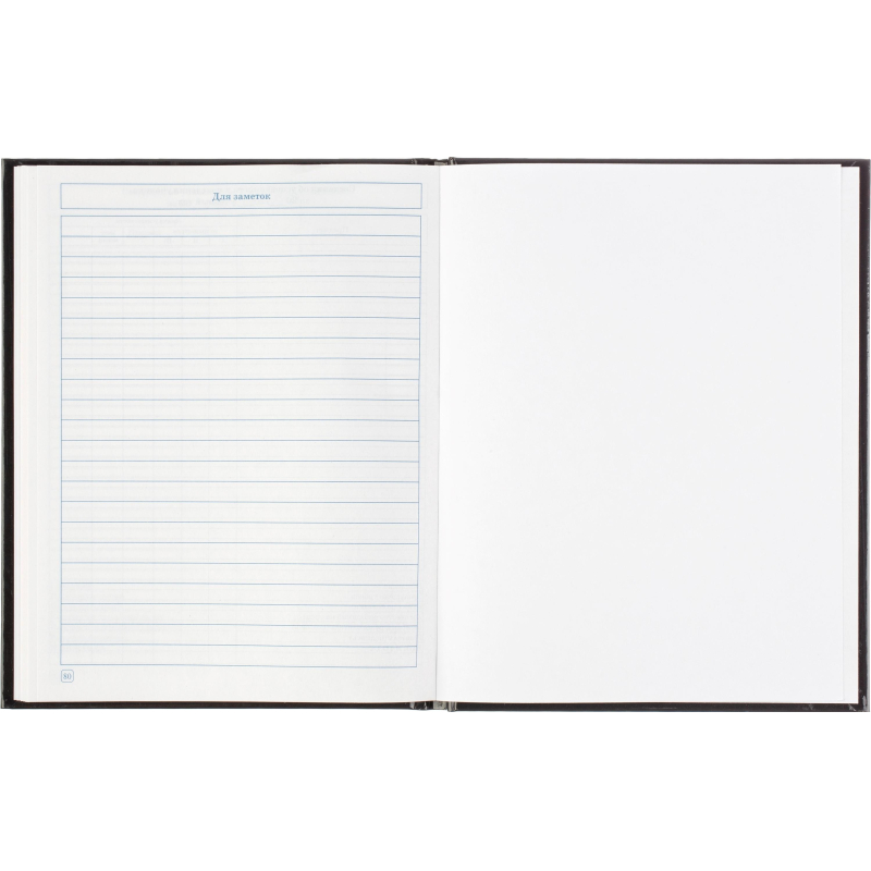 Дневник Росс. шк. унив., 7БЦ, гл. лам. Триколор на черном