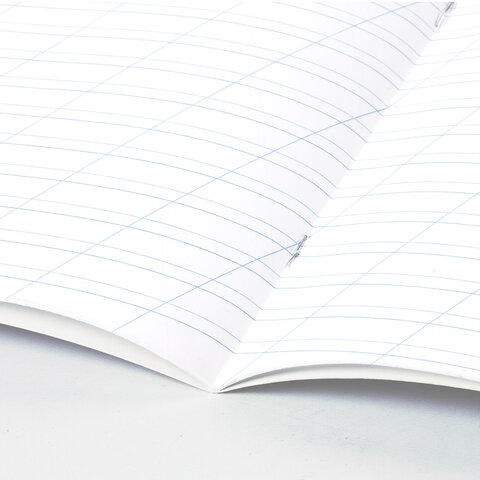 Тетради 12 л. КОМПЛЕКТ 20 шт. BRAUBERG «КЛАССИКА NEW», косая линия, обложка картон, ЗЕЛЕНАЯ