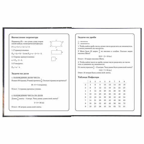 Дневник 1-4 класс 48 л., твердый, BRAUBERG, блестки, с подсказом, «Котик»