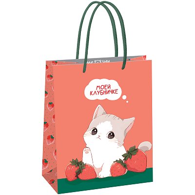 Пакет подарочный 18×23×10см MESHU «Strawberry», матовая ламинация