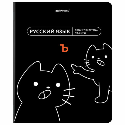 Тетради предметные, КОМПЛЕКТ 12 ПРЕДМЕТОВ, 48 л., TWIN лак, BRAUBERG «МЕМЫ»