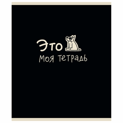 Тетрадь А5 48 л. ПЗБМ, скоба, клетка, матовая ламинация, брайль, «Тетрадь подписана» (микс в ПУ)