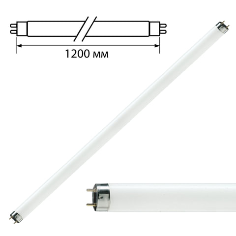 превью Лампа люминесцентная PHILIPS TL-D 36W/33-640, 36 Вт, цоколь G13, в виде трубки 120 см