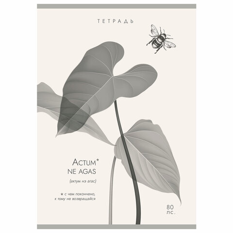 Тетрадь А4 80 л. ПЗБМ, скоба, клетка, Soft Touch, брайль, «Латынь» (микс в спайке)