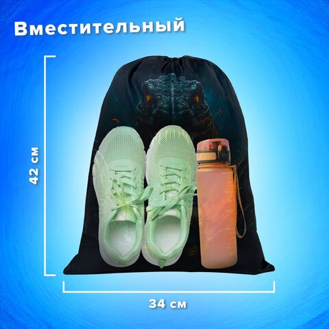 Мешок для обуви BRAUBERG KIDS, с петлей, 42×34 см, «Dino chase»
