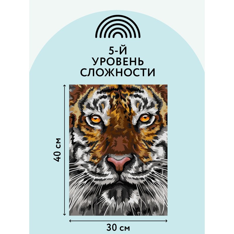 Картина по номерам на холсте ТРИ СОВЫ «Тигриный взгляд», 30×40, с акриловыми красками и кистями