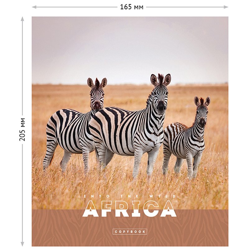 Тетрадь 96л., А5, клетка ArtSpace «Животные. Nature of Africa», эконом