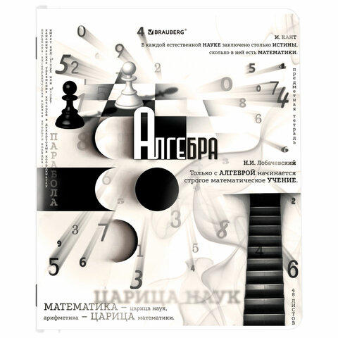 Тетради предметные, КОМПЛЕКТ 12 ПРЕДМЕТОВ, 48 л., матовая ламинация, BRAUBERG, «BLACK&WHITE»