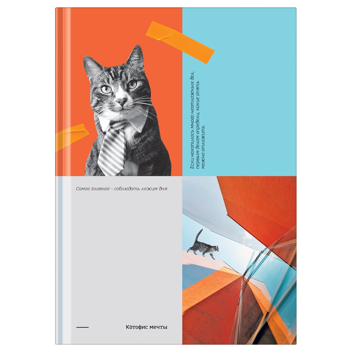 Бизнес-блокнот А5, 80л., BG «Котофис мечты», soft-touch ламинация