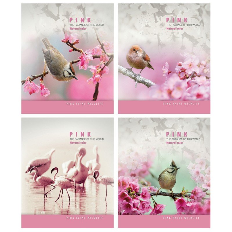 превью Тетрадь школьная Тетрапром Pink wildlife А5 18 листов в клетку (обложка в ассортименте)