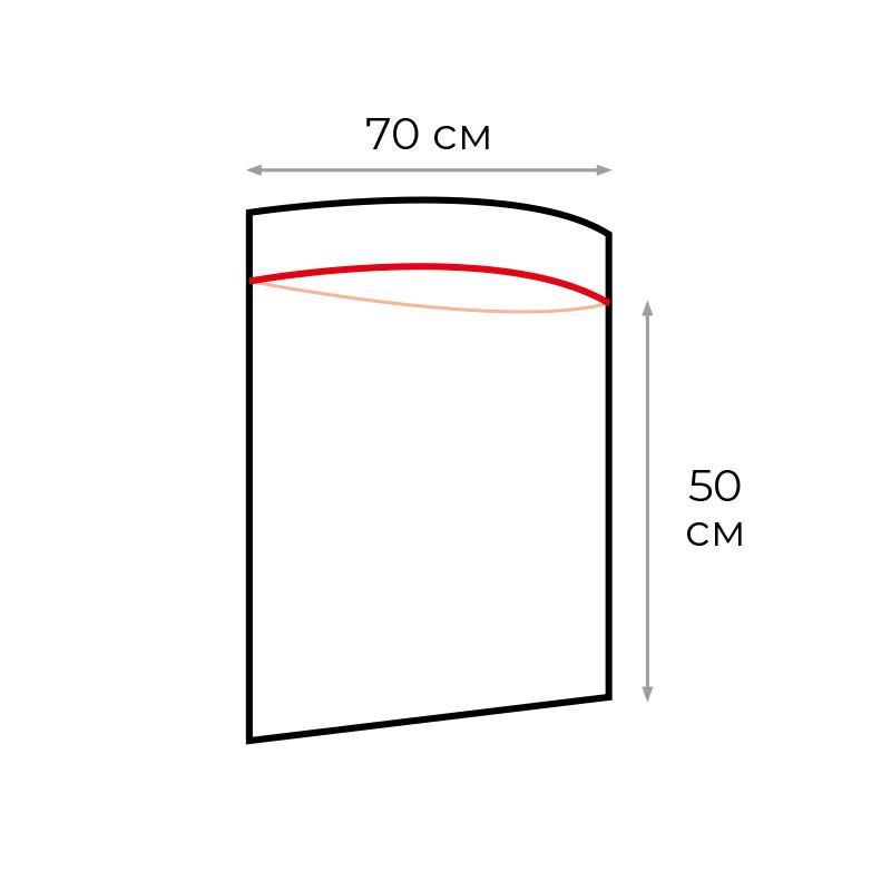 Пакет с замком (Zip Lock) 70 х 50 см, 35 мкм, 100 шт/уп