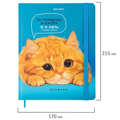 Дневник 1-11 класс 48 л., твердый, BRAUBERG, матовая ламинация, резинка, закладка-ляссе, с подсказом, «Котик»
