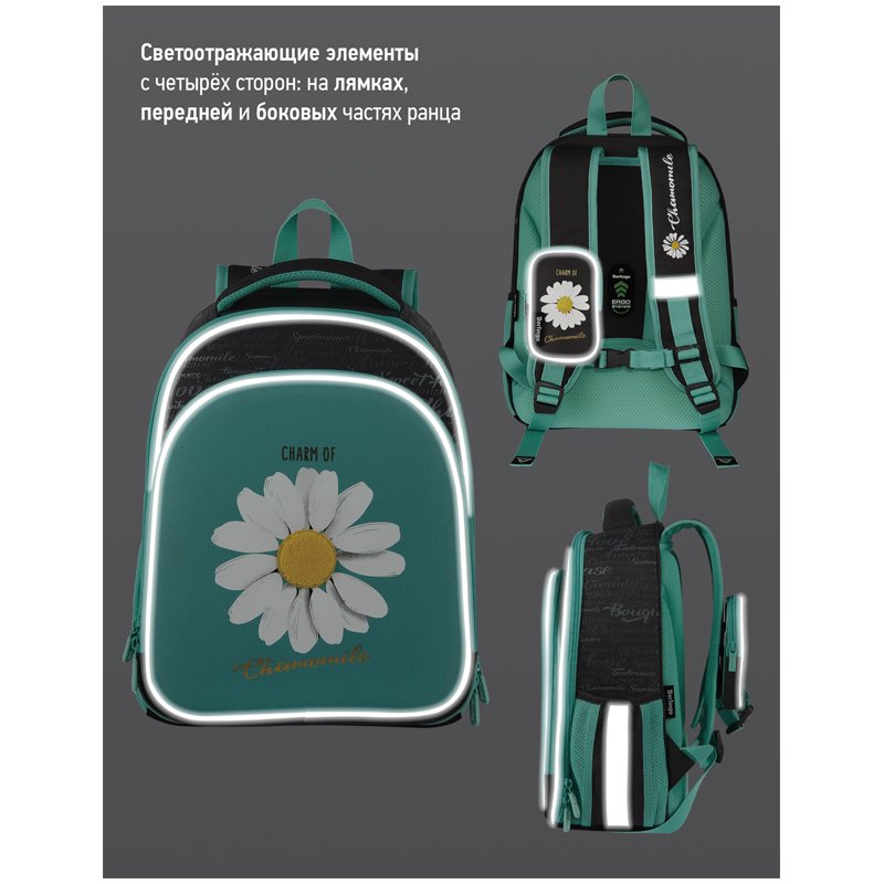 Ранец Berlingo Expert Plus «Chamomile» 38×29×15см, 2 отделения, 2 кармана, анатомическая спинка