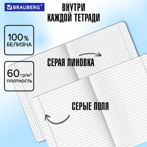 Тетради предметные, КОМПЛЕКТ 5 ПРЕДМЕТОВ, 48 л., SoftTouch, BRAUBERG «РИТМ»