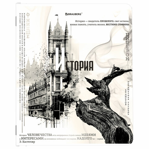 Тетради предметные, КОМПЛЕКТ 12 ПРЕДМЕТОВ, 48 л., матовая ламинация, BRAUBERG, «BLACK&WHITE»