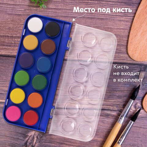 Краски акварельные BRAUBERG «PREMIUM» 12 цветовкруглые кюветы 28 ммпенал191743