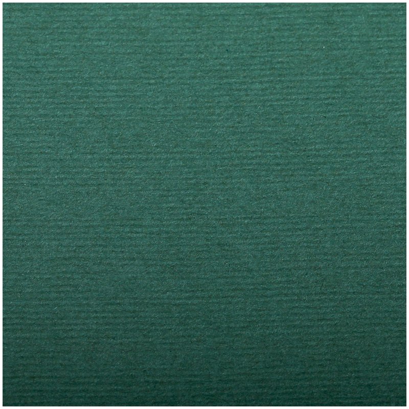 превью Бумага для пастели 25л. 500×650мм Clairefontaine «Ingres», 130г/м2, верже, хлопок, темно-зеленый