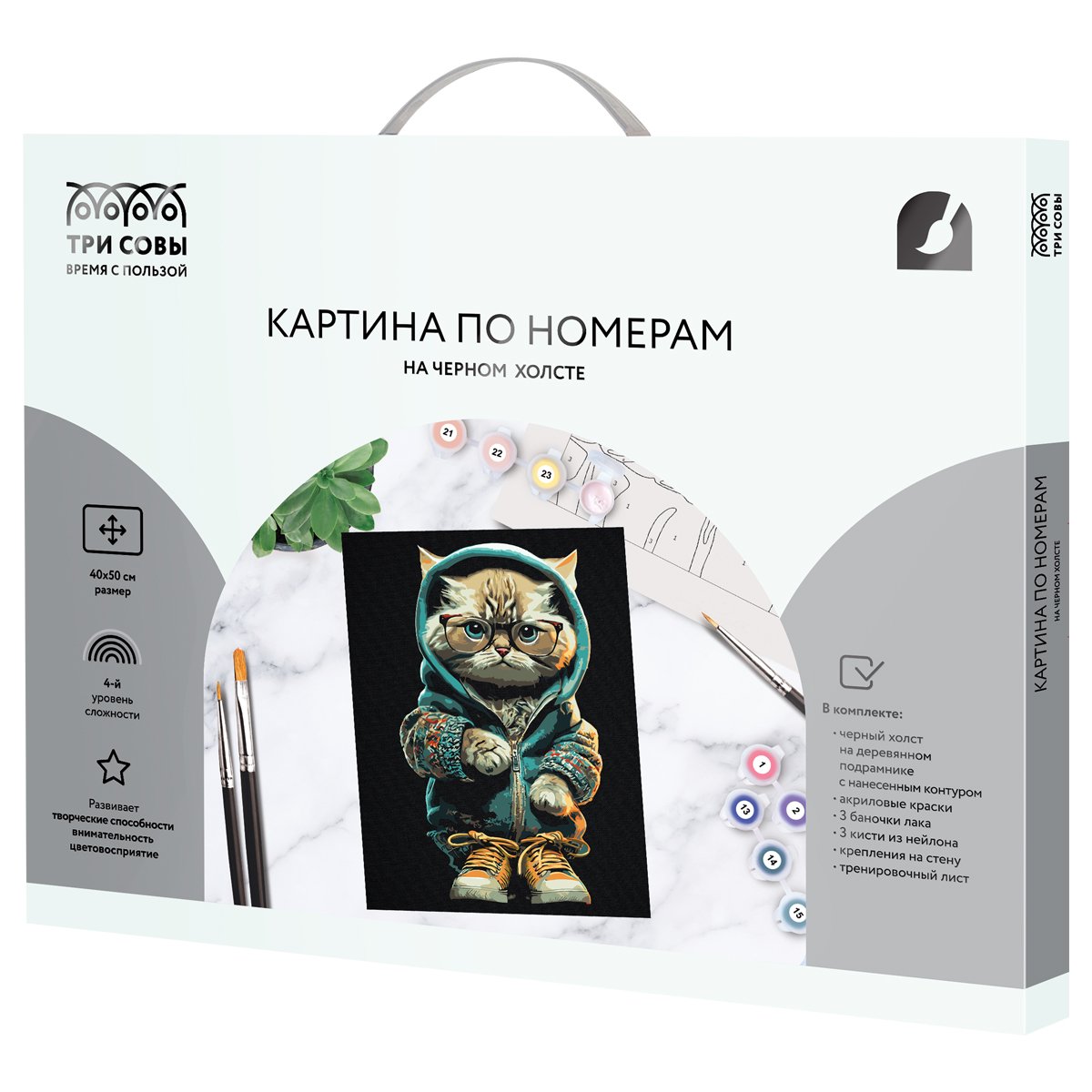 Картина по номерам на черном холсте ТРИ СОВЫ «Стильный кот», 40×50, c акриловыми красками и кистями