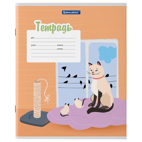 Тетрадь 12 л. BRAUBERG, линия, обложка картон, «ОЗОРНЫЕ КОТЫ»