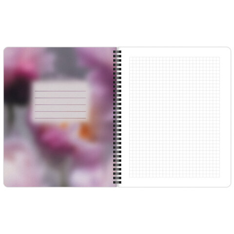 Тетради ДЭК А5 48 л. КОМПЛЕКТ 4 шт., BRAUBERG, гребень, клетка, 80 г/м2, Soft-Touch, «Aesthetics»