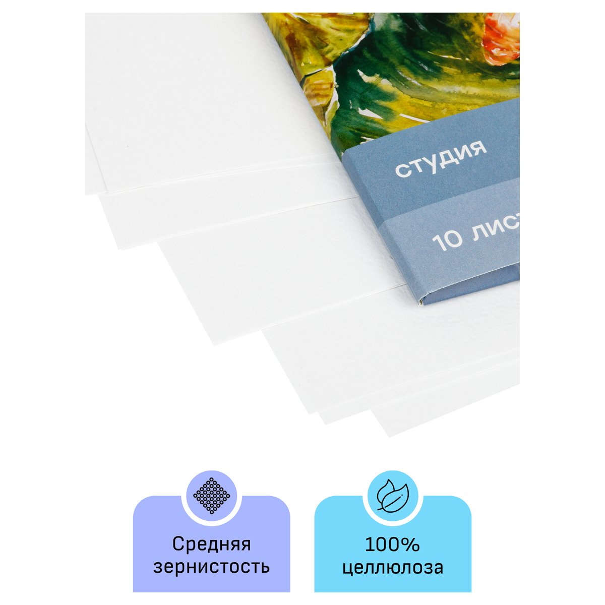 Папка для акварели 10л., А4, Гамма «Студия», 200г/м2, среднее зерно