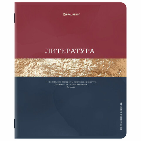 Тетради предметные, КОМПЛЕКТ 12 ПРЕДМЕТОВ, 48 л., матовая ламинация, фольга, BRAUBERG «GOLDY»
