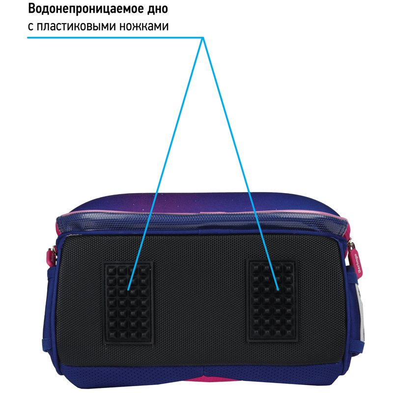 Ранец Berlingo Expert «Akita boy» 37×28×16см, 2 отделения, 2 кармана, анатомическая спинка