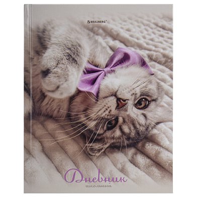 Дневник 5-11 класс 48 л., твердый, BRAUBERG, глянцевая ламинация, с подсказом, «Котик»