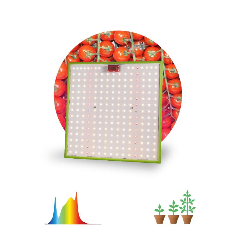 Фитопрожектор ЭРА FITO-80W-LED-QB Quantum board полного спектра 80 Вт 3500К