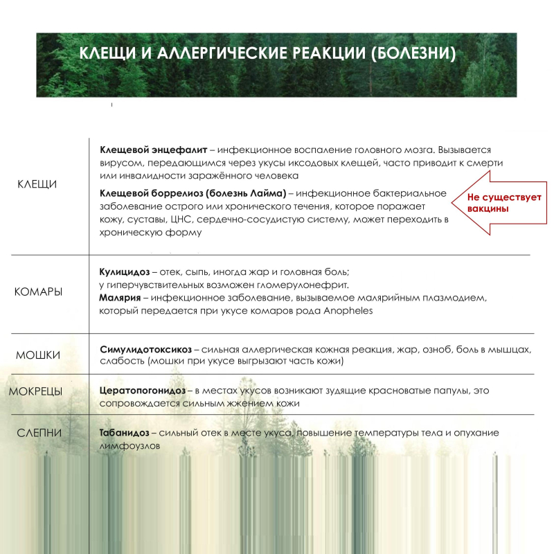 Спрей репелен MOSQUITALLПрофессион защита от всех насекомых,35 ДЭТЫ 100мл
