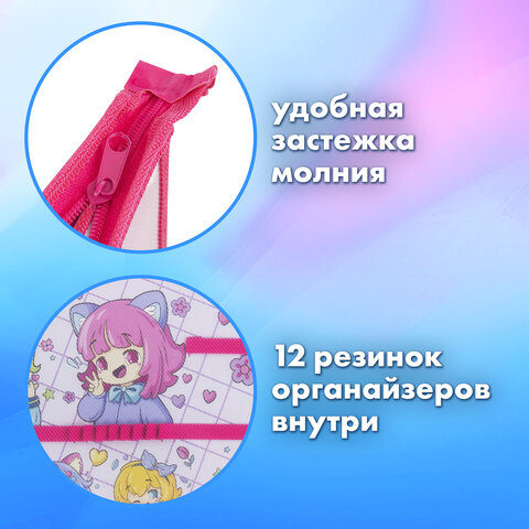 Папка для труда BRAUBERG А4, 2 отделения, пластик, молния сверху, органайзер, «Anime party»