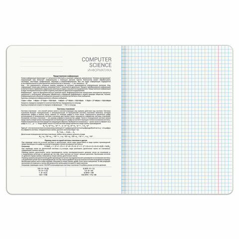 Тетрадь предметная DOG БОБИК 48 л., TWIN-лак, ИНФОРМАТИКА, клетка, подсказ, BRAUBERG