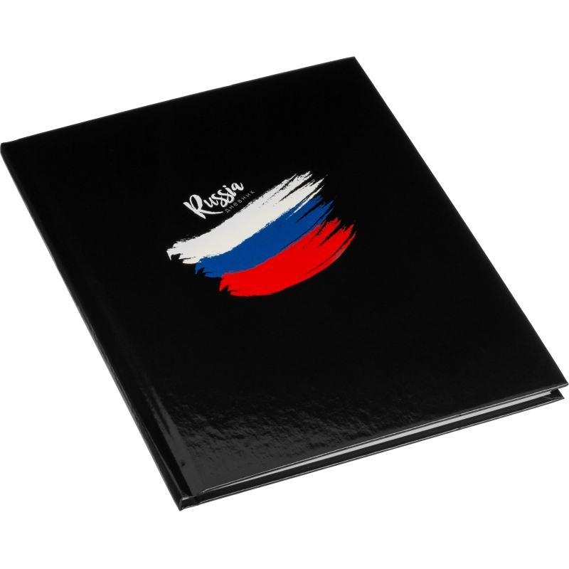 Дневник Росс. шк. унив., 7БЦ, гл. лам. Триколор на черном